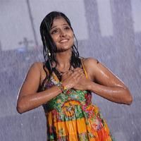 Remya Nambeesan - Salamath Movie New Picturees | Picture 53212